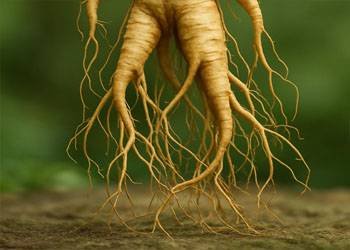 AquaSculpt Ingredient 8